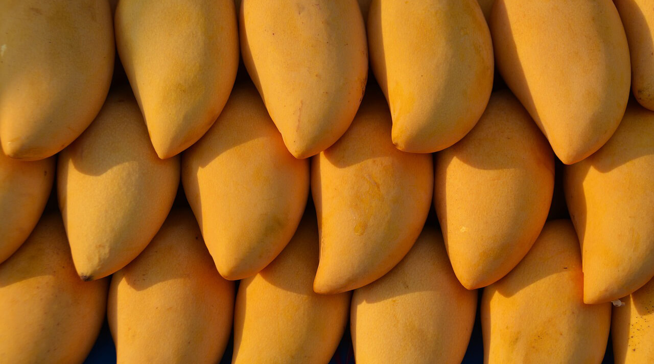 Манго фрукт как выбрать спелый