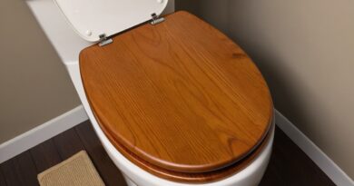 How to clean wood toilet seat